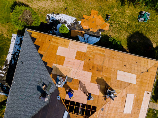 Best Metal Roofing Contractor  in Hubbard, TX